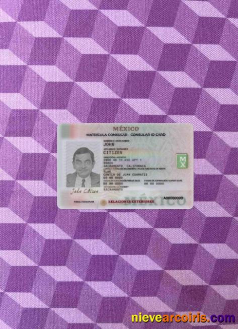 Mexico Consular ID card photolook